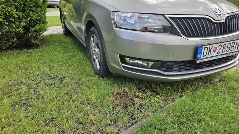 auto zaparkované na parkovisku s multigravel zelená.