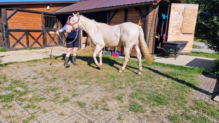 spevnené stojisko koní plastovým zatrávňovačom