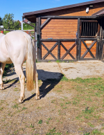 zatrávňovače uložené na stojisku koní na farme