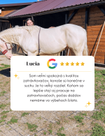 hodnotenie zákazníka na zatrávňovaciu dlažbu