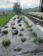 Netkaná agrotextília WIGOFIL 100 g použitá na výsadbu rastlín vo svahu pri rodinnom dome