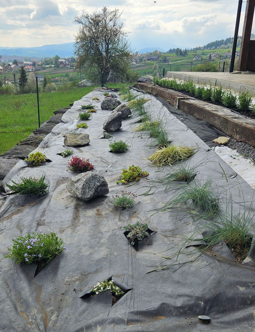 Netkaná agrotextília WIGOFIL 100 g použitá na výsadbu rastlín vo svahu pri rodinnom dome