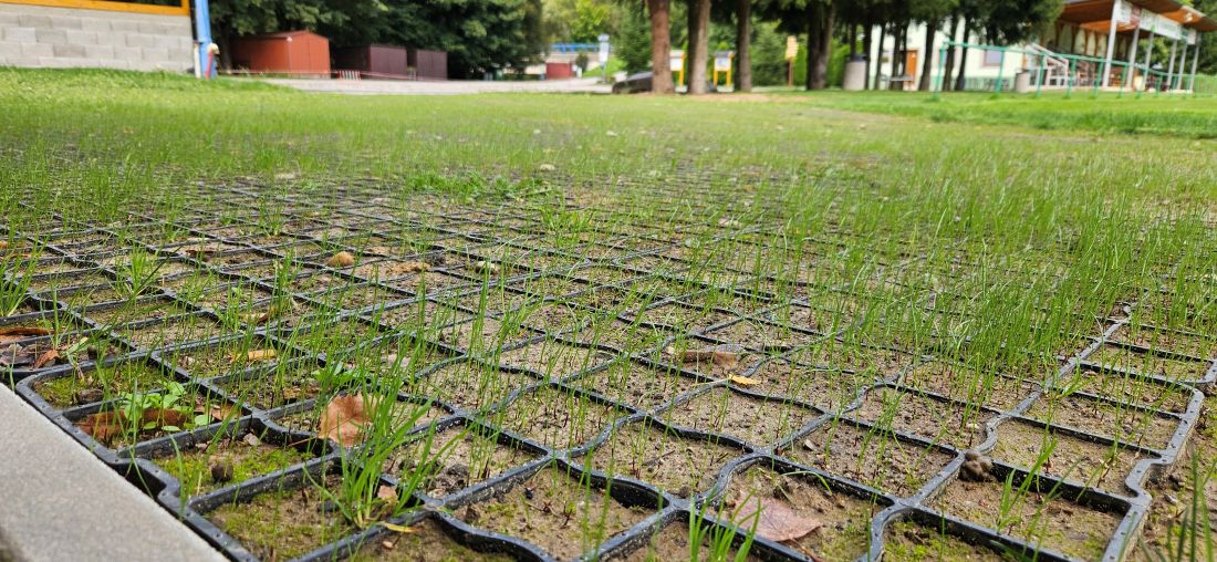 Zatravňovací rošty N40 PLUS s travní výplní